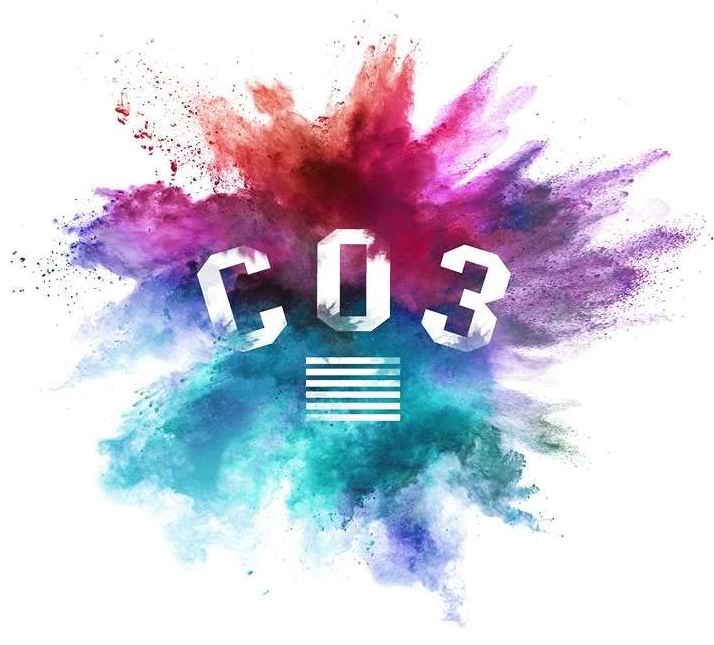 Company 3