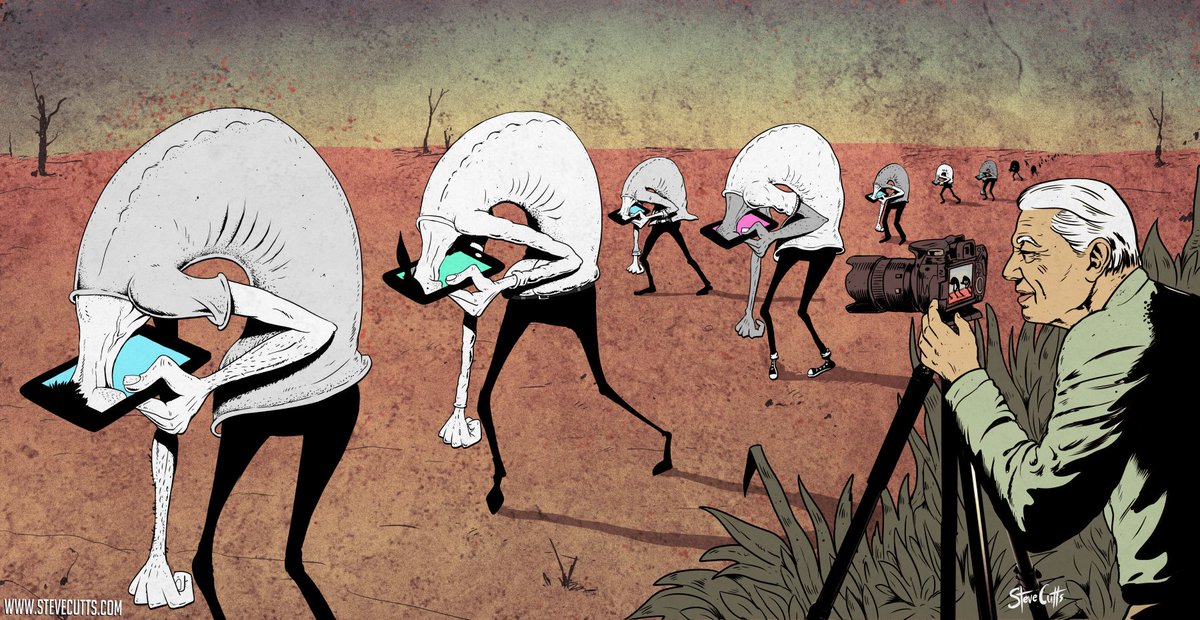 Steve Cutts