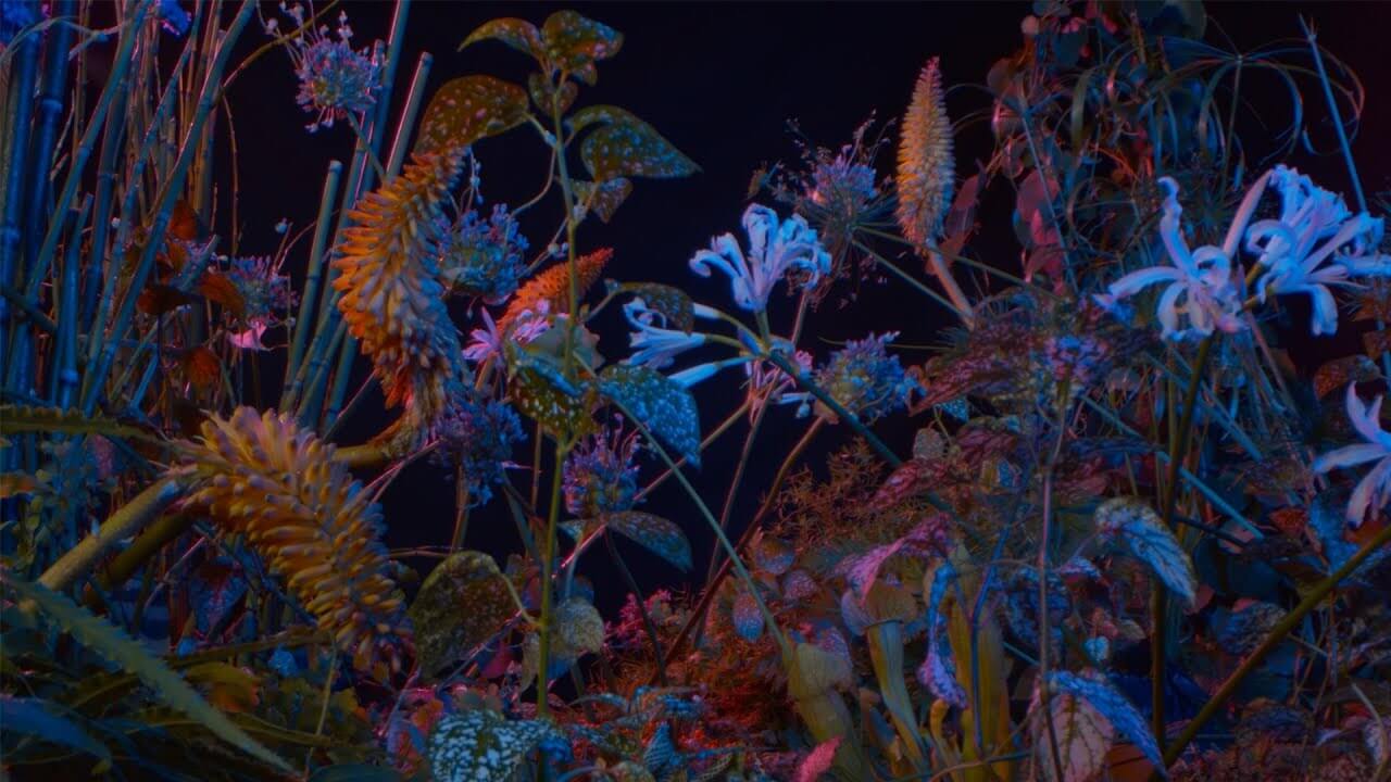 Floating Points - Last Bloom