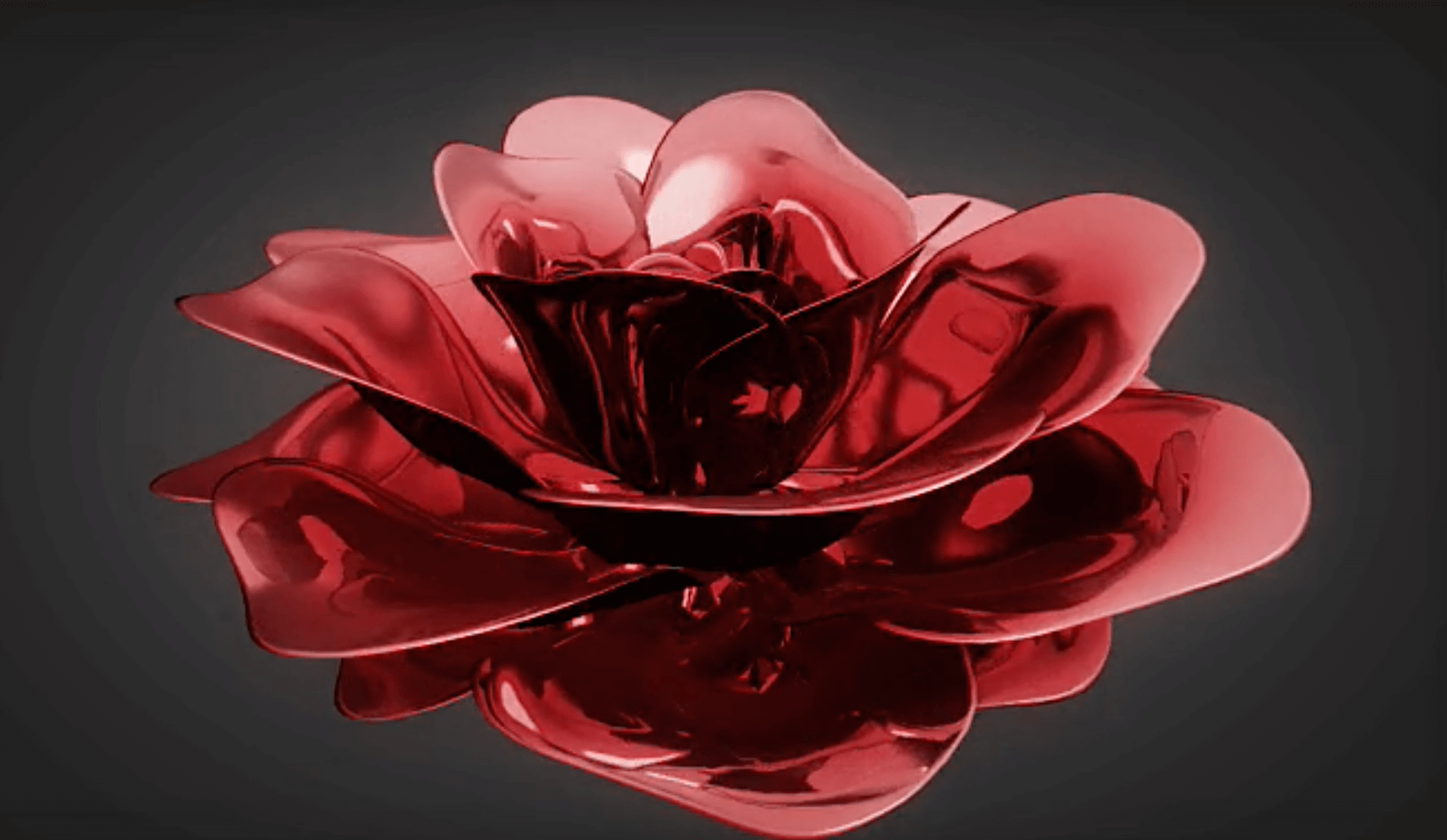 Aphorism: The petal becomes a flower