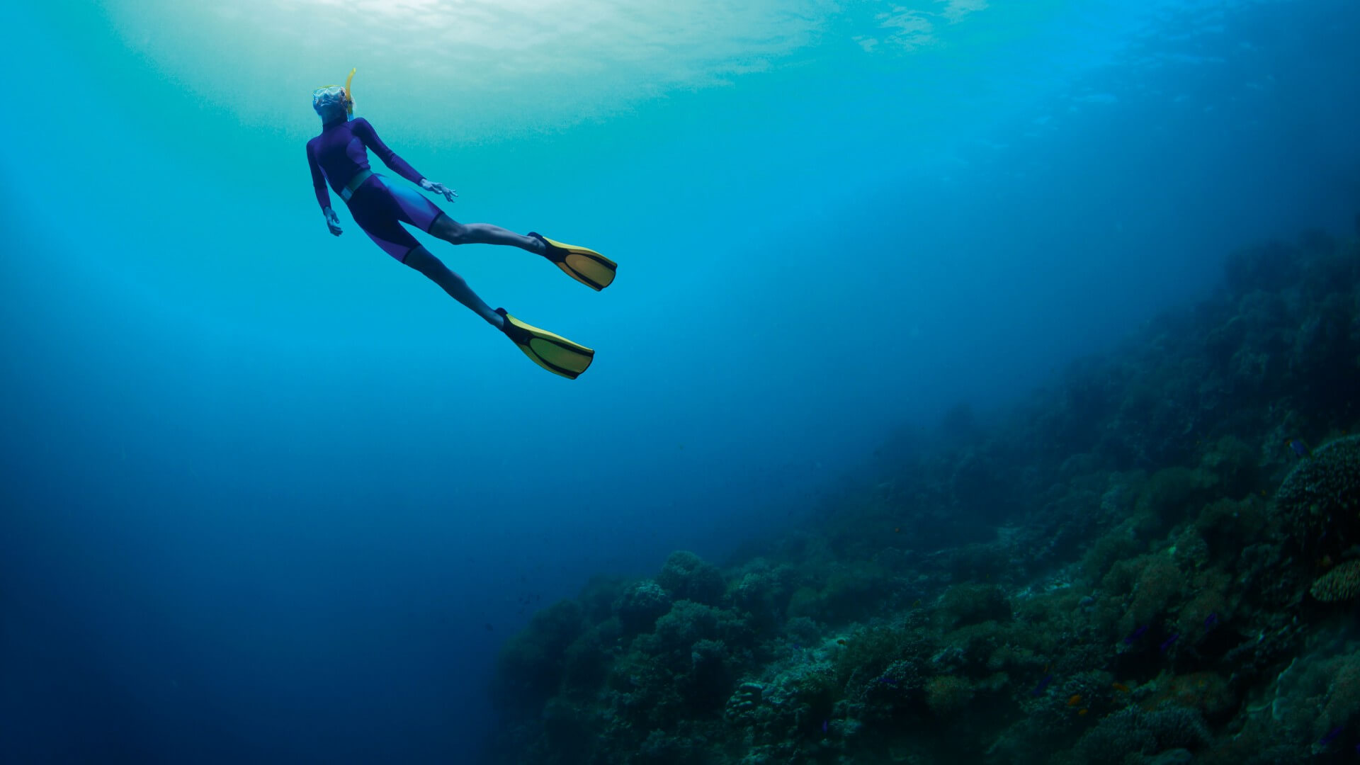 The Underwater World Through the Eyes of a Free Diver