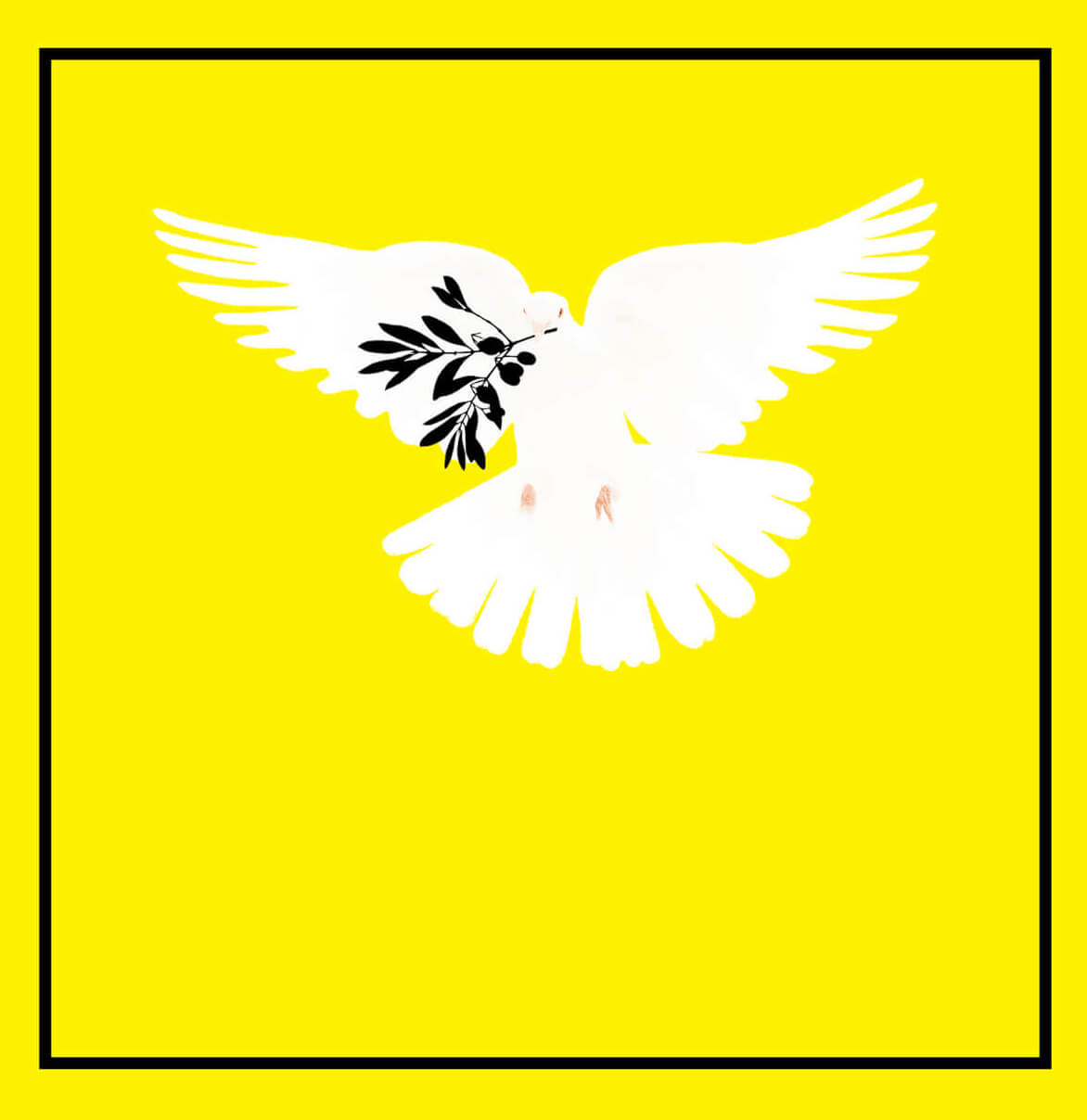 Turzi - Colombe