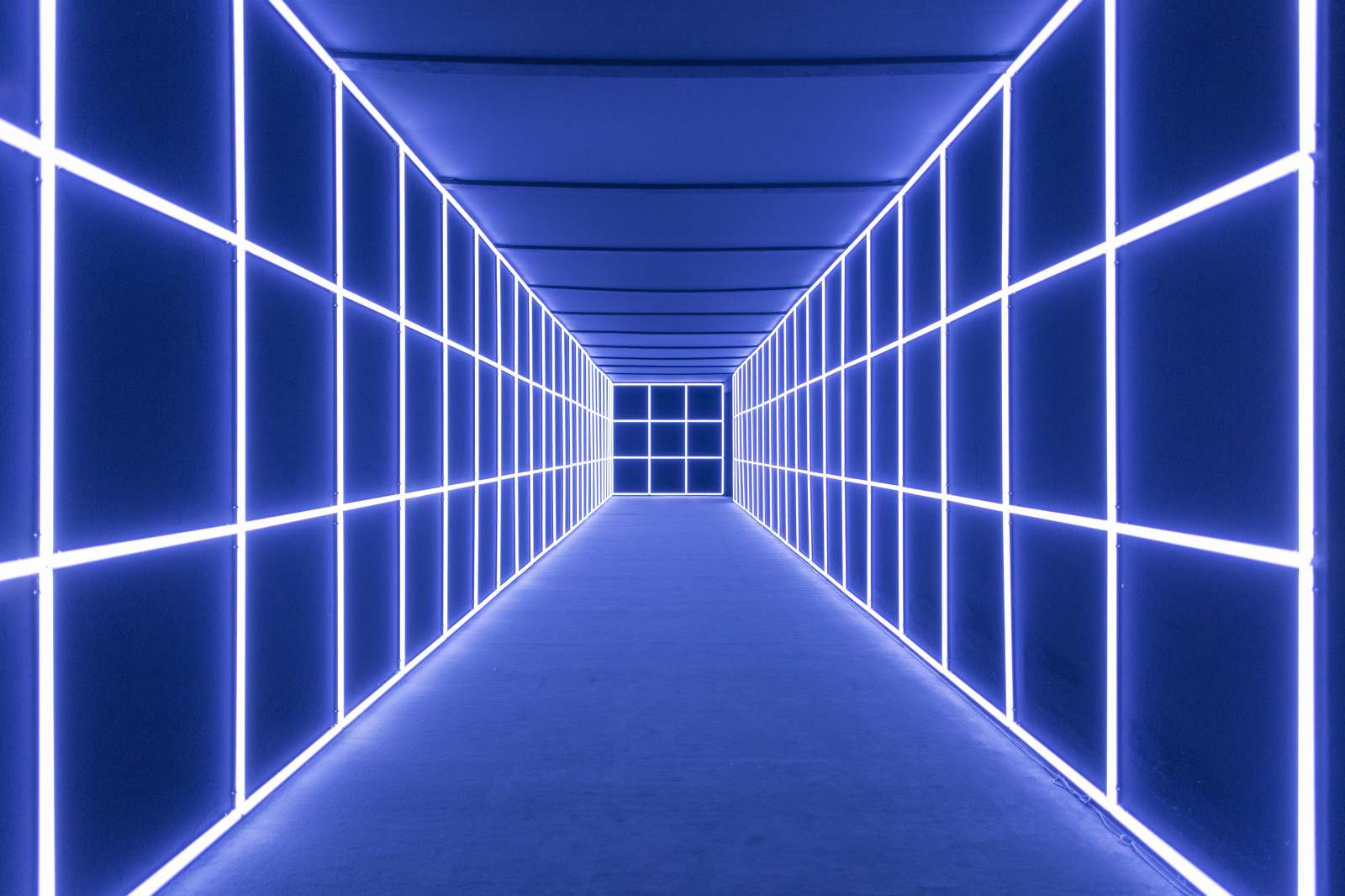 W.O.S light installation for Cartier