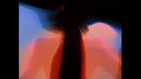 Beach House - The Traveller