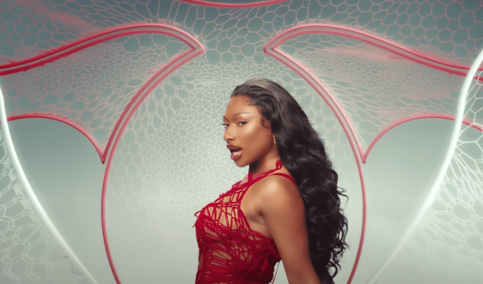 Megan Thee Stallion - HISS