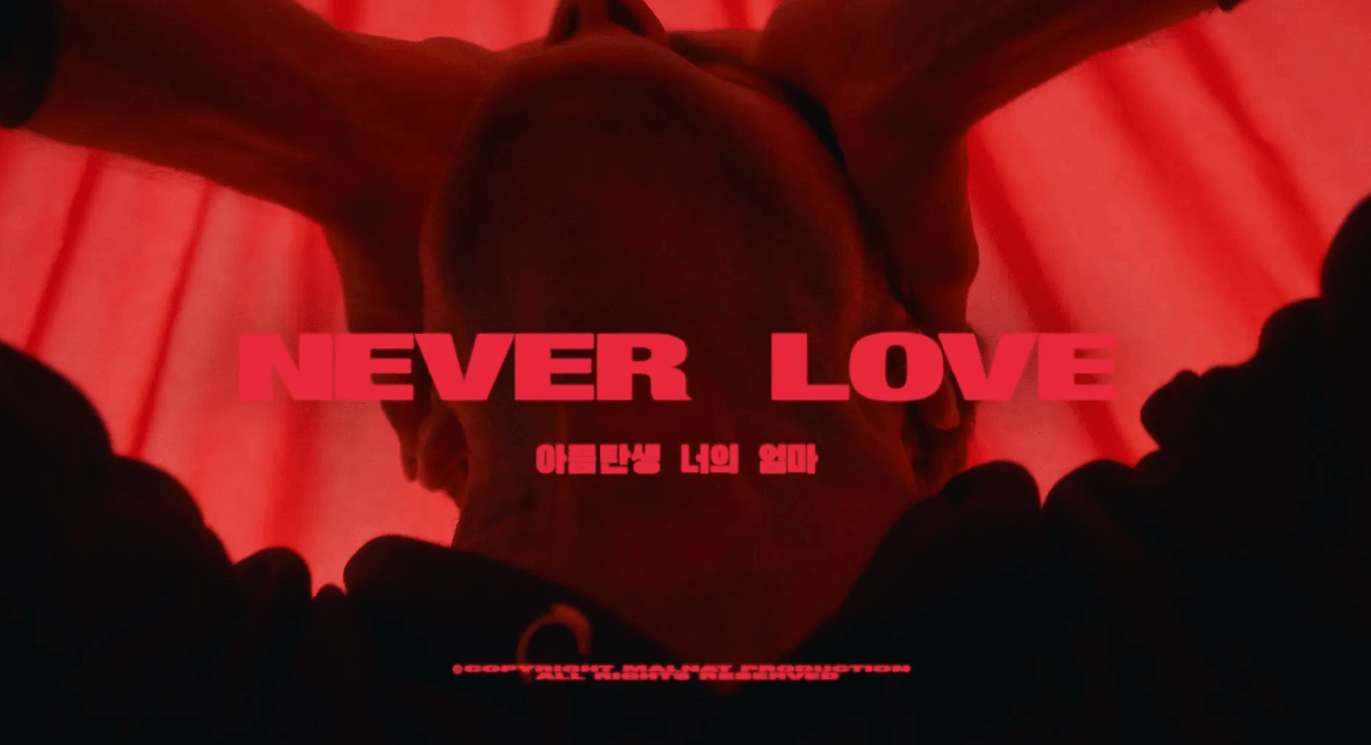 Never Love