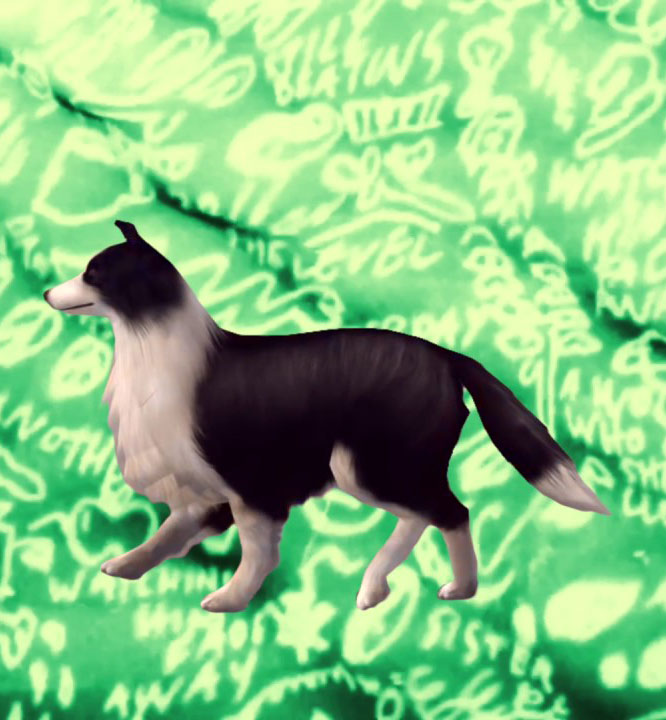 Mac DeMarco - This Old Dog