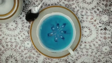 Coldplay - Up & Up
