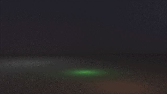 Visual Sounds of the Amazon