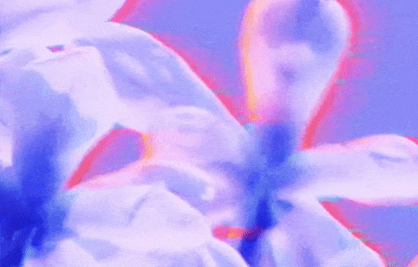 FOALS - Looking High