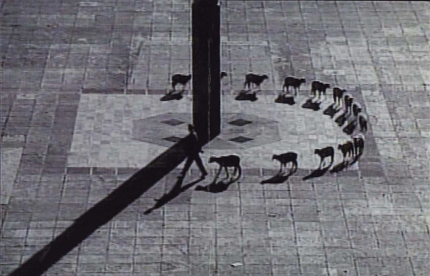 Cuentos patriótico 1997