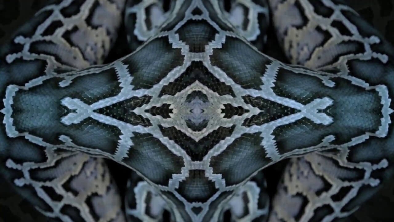 Nicola Cruz - Tzantza