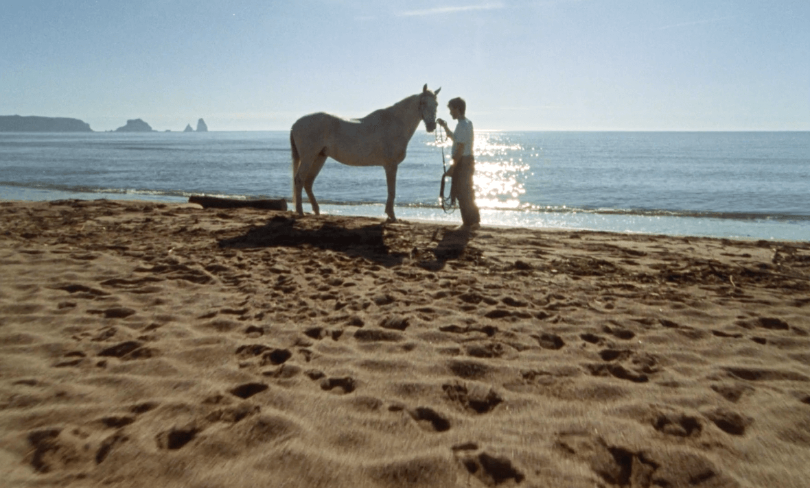10º Landscape Biennial Barcelona