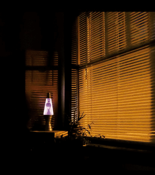 Windowspeak - Dog