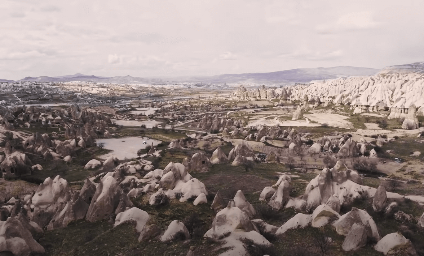 THYLACINE - Anatolia