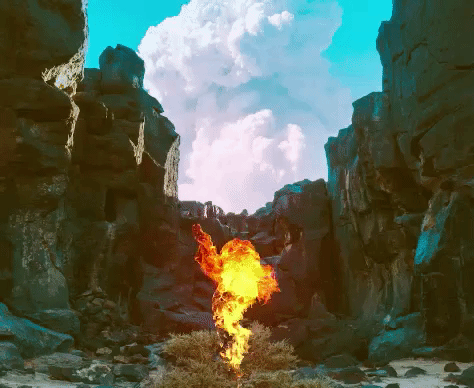 Bonobo - Kerala