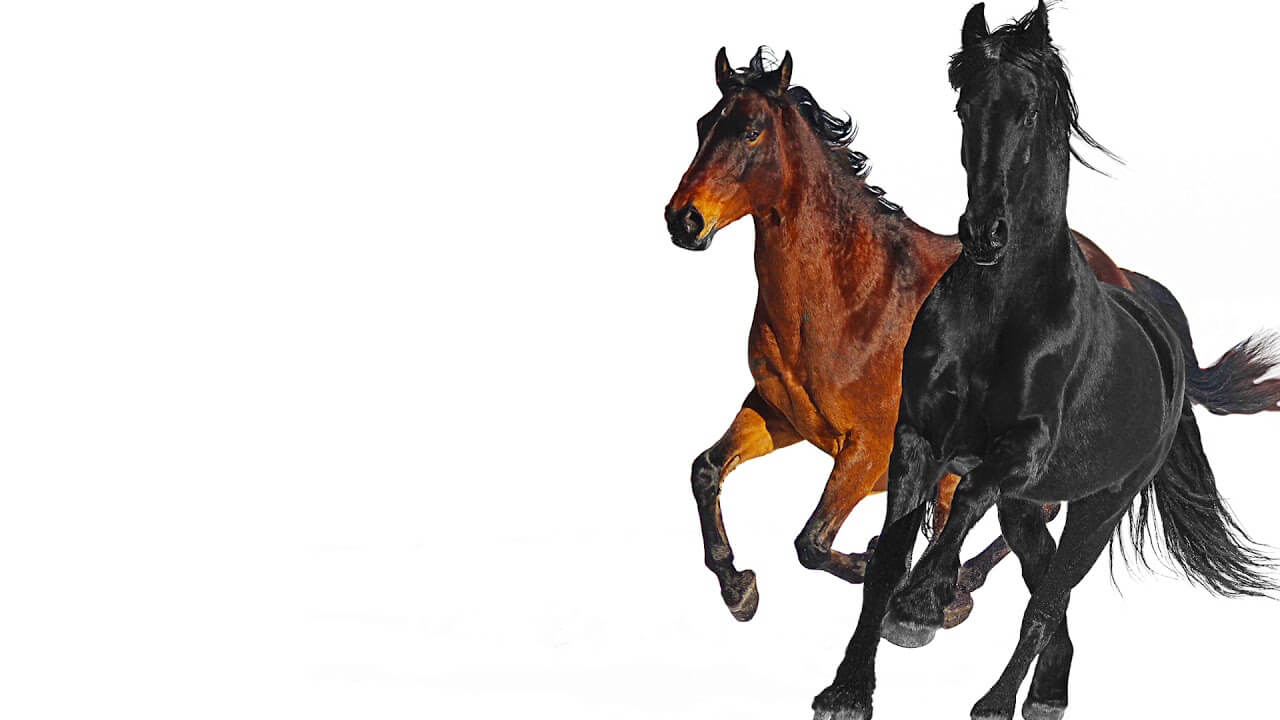 Lil Nas X - Old Town Road ft. Billy Ray Cyrus