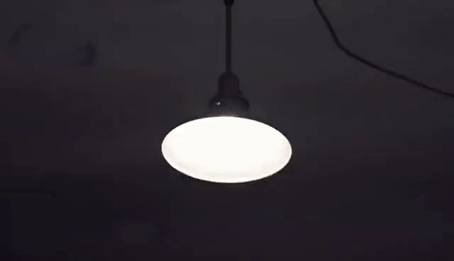 Crumb - Locket