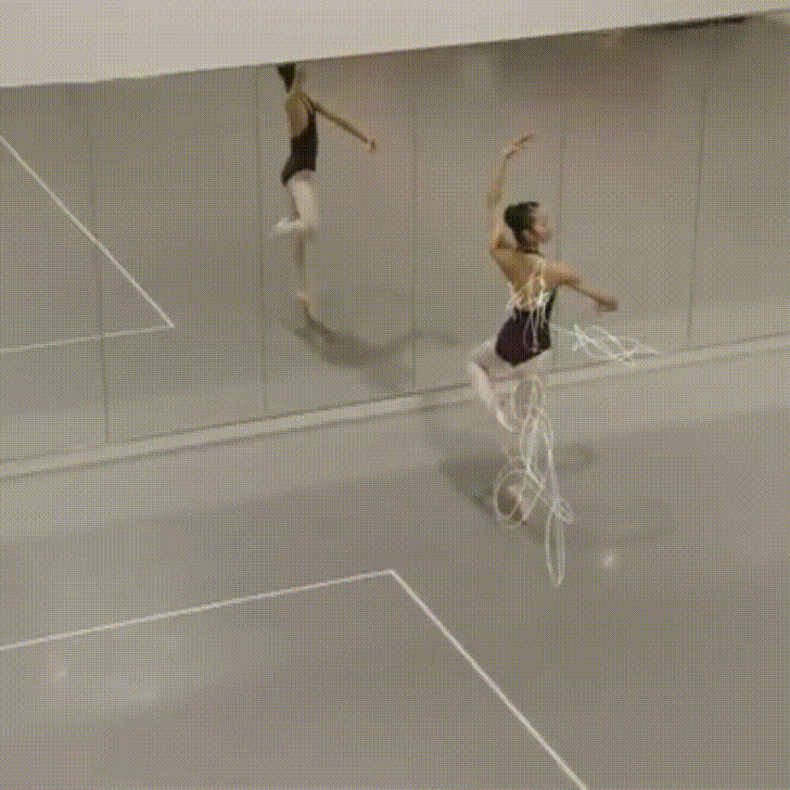 ballet rotoscope | バレエ・ロトスコープ