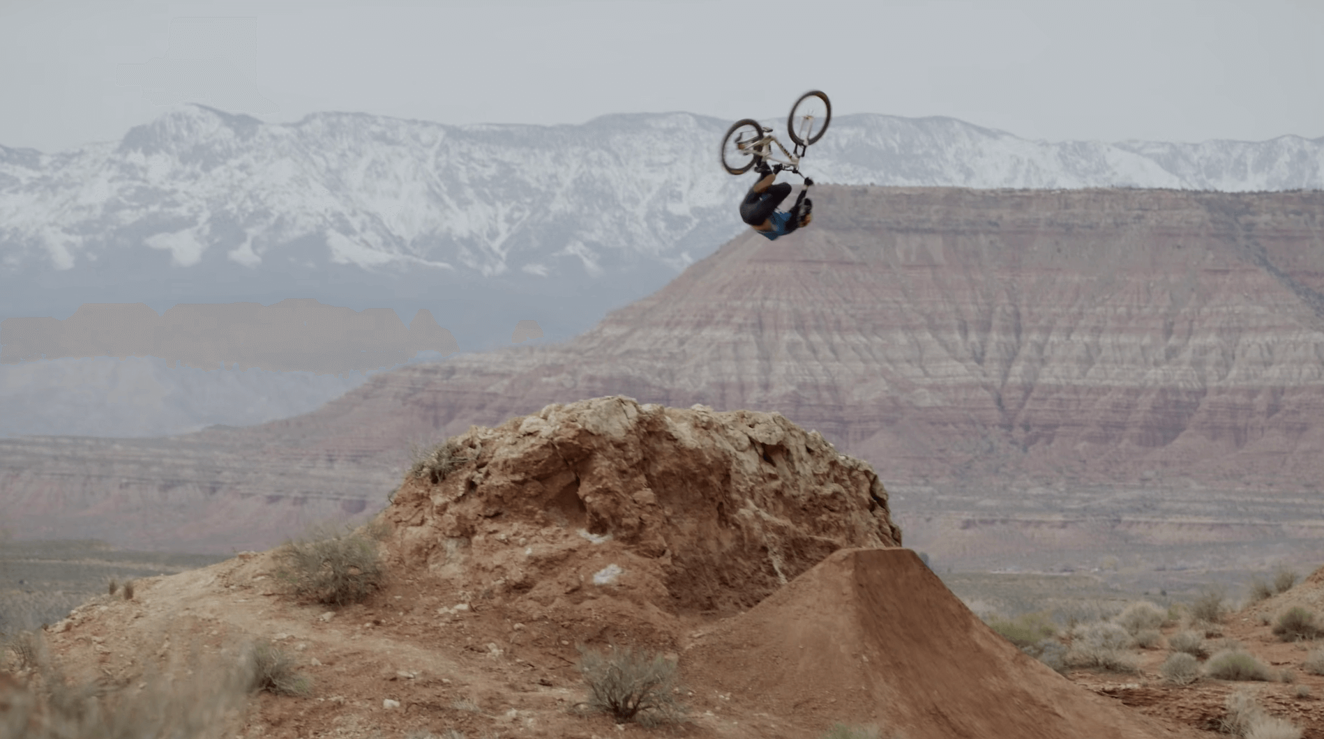 RAW 100