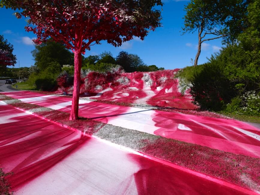 Katharina Grosse | Colorizing Nature in Pink