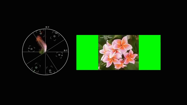 Avalon Emerson - One More Fluorescent Rush