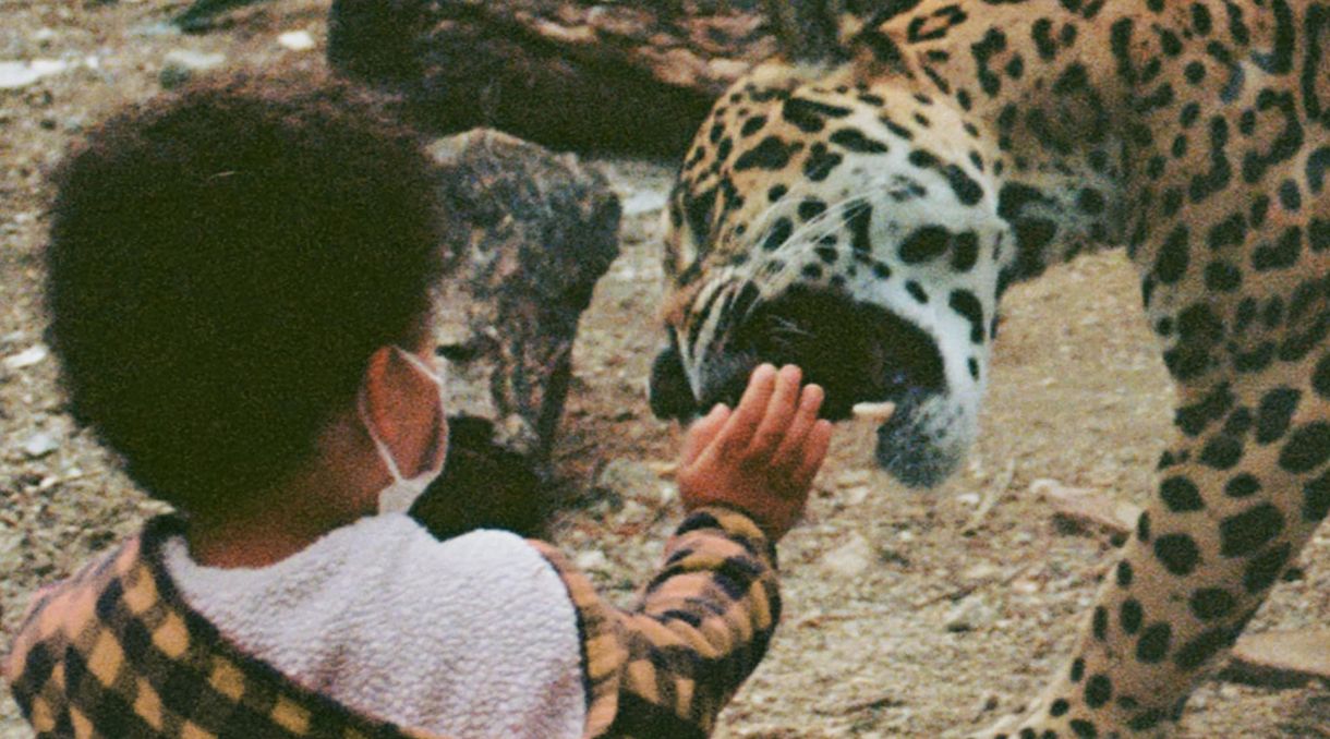 Unknown Mortal Orchestra - Layla