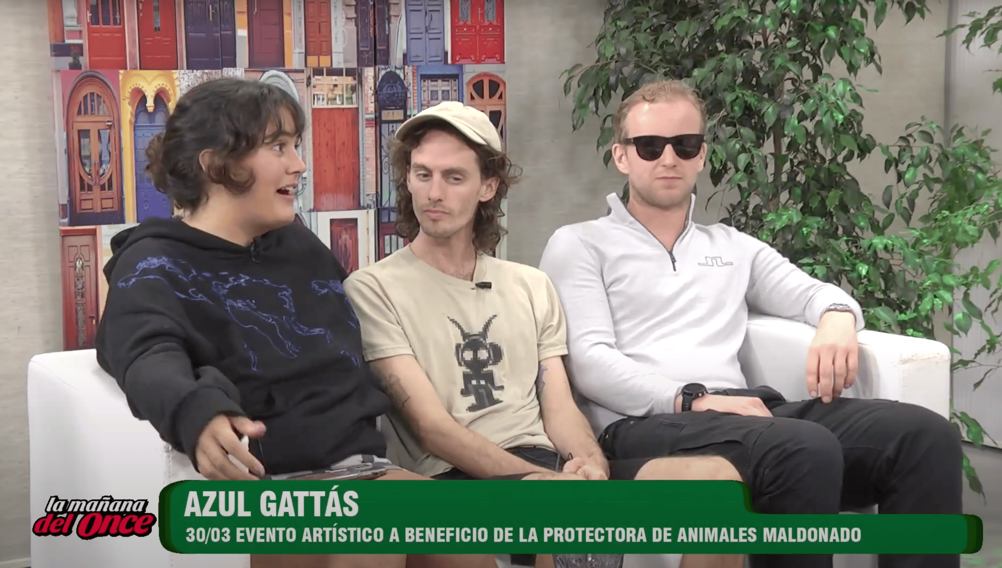 Canal Once: SAVE THE DOGS IN URUGUAY CREW