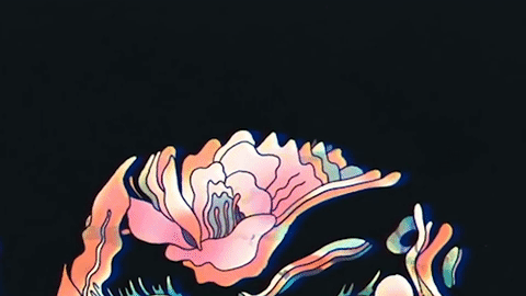 The Shins - New For You