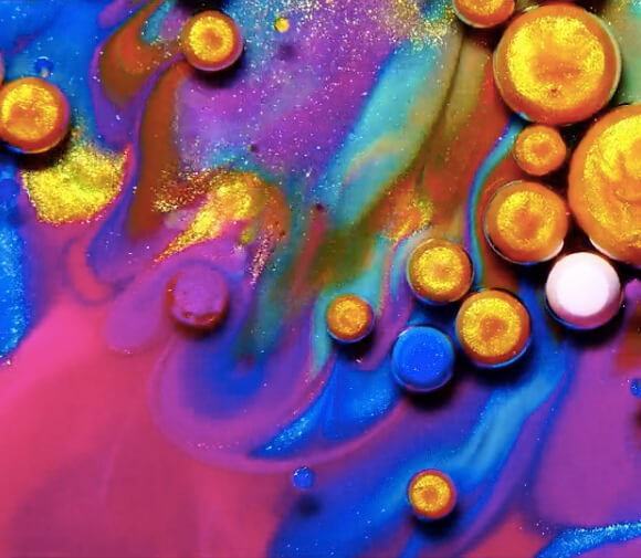 KINGDOM OF COLOURS