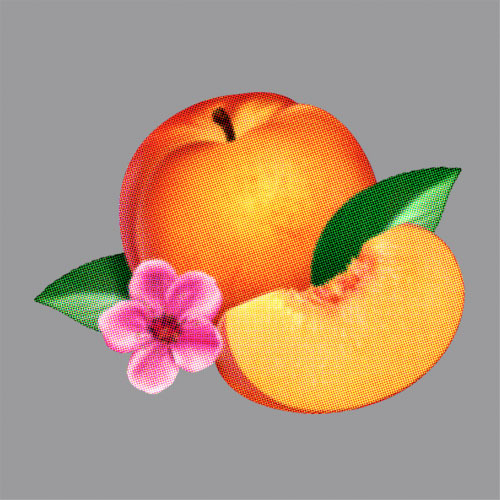 Phoenix - Chloroform