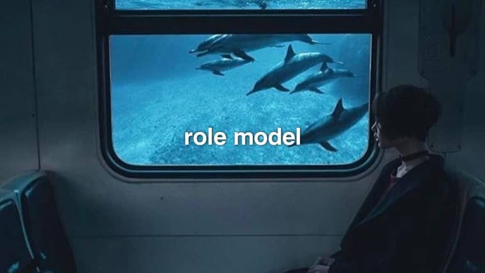 Phoenix - Role Model