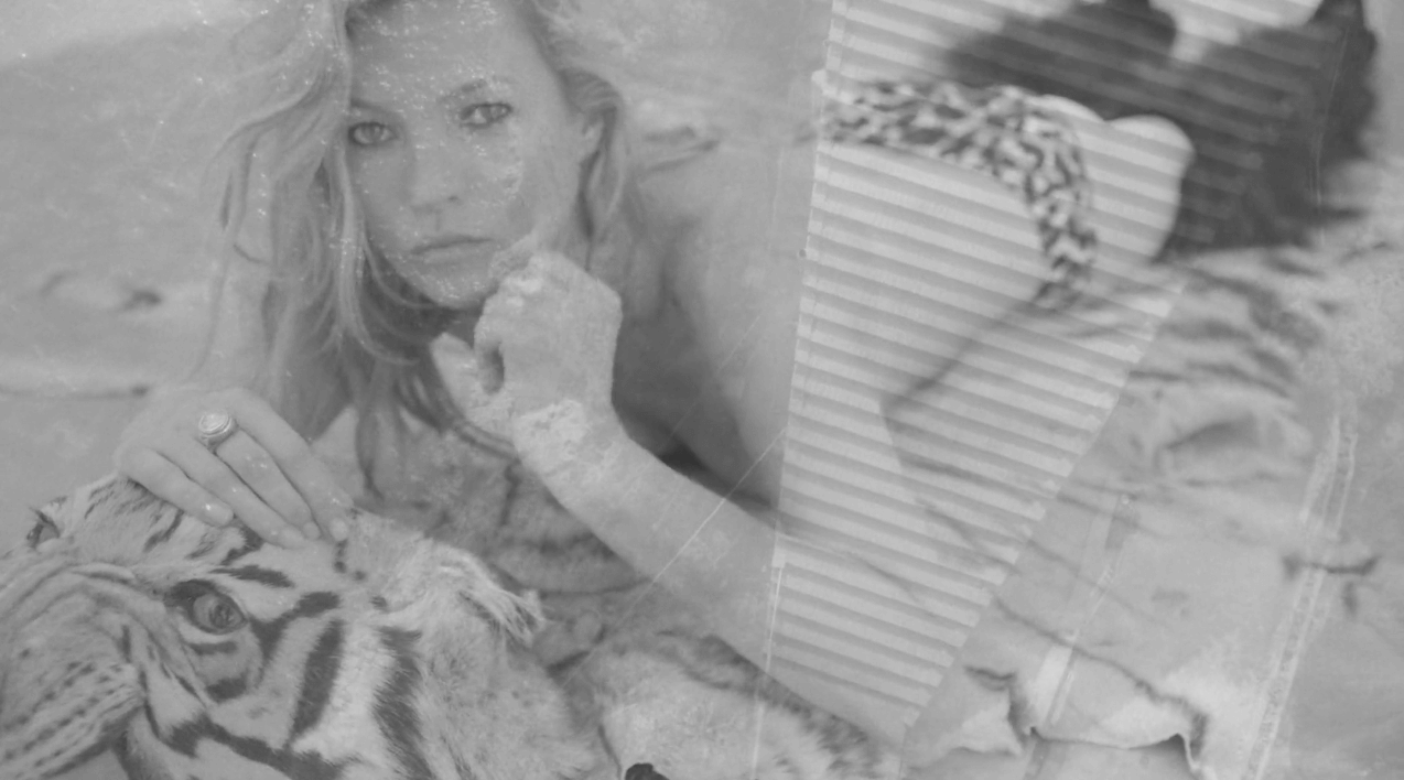 YSL KATE MOSS