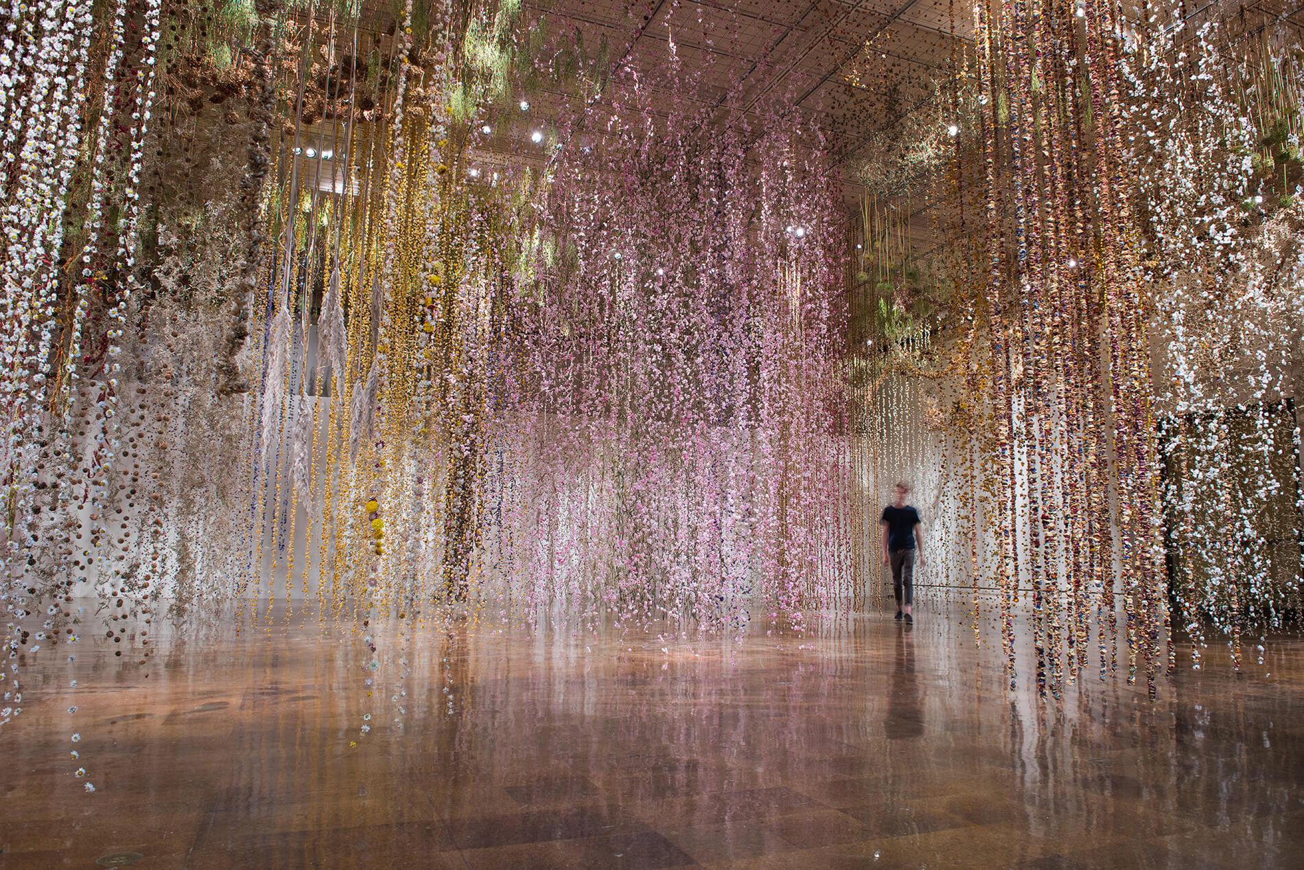 Rebecca Louise Law: Community