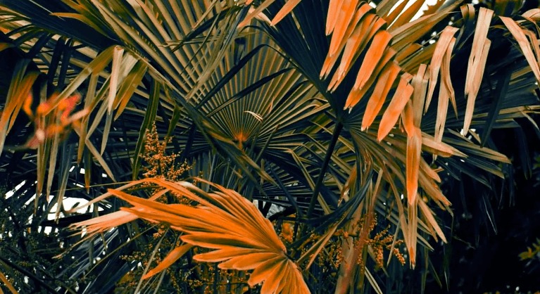 Washed Out - Don't Give Up