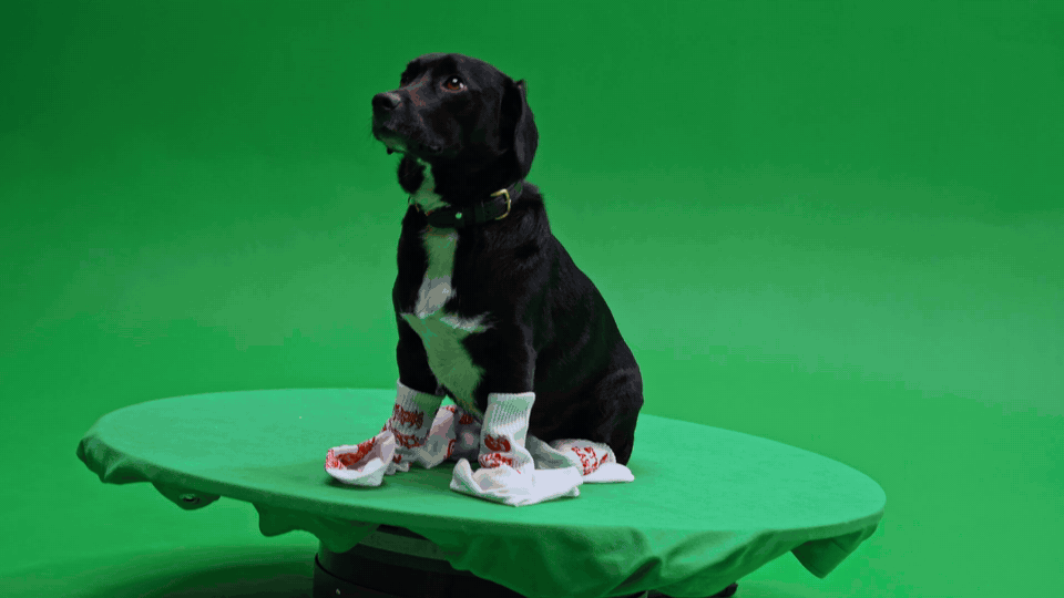 Happy Socks x Studio Barnhus