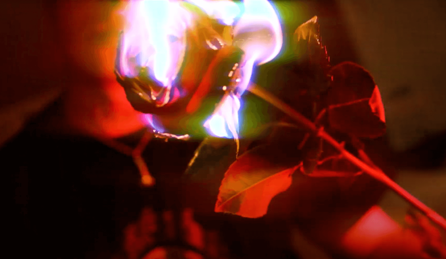 Jaxxon D. Silva - There's No Antidote For Love