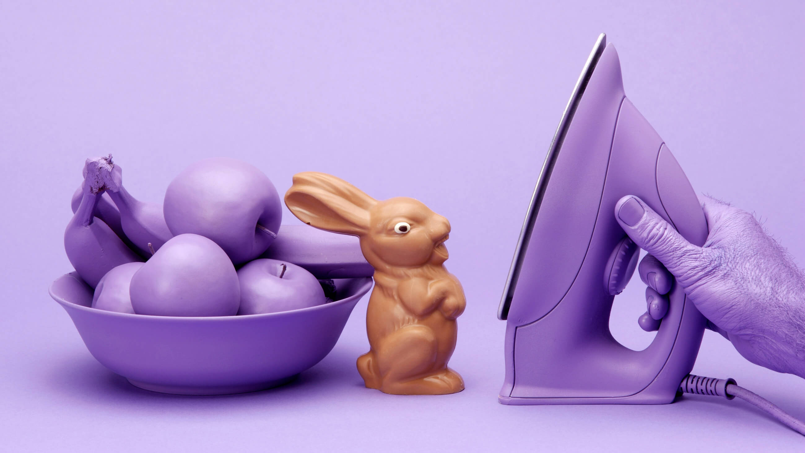 Chocolate Bunny