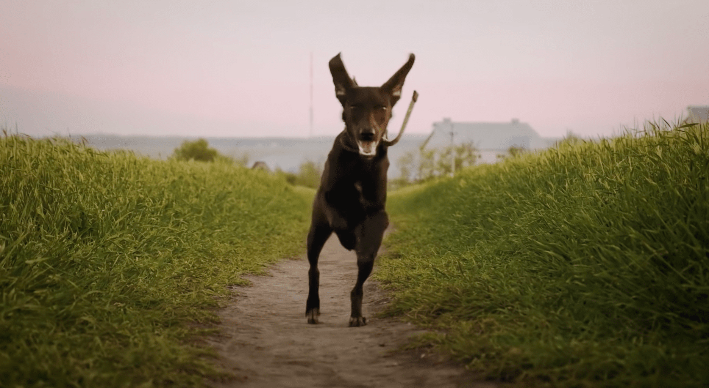 Caribou - You Can Do It