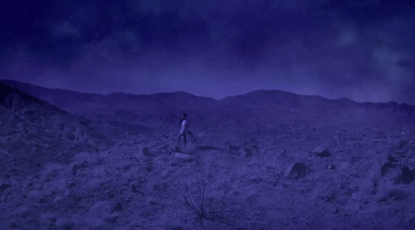 Shamir - Darker