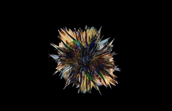 Impossible Rhythms 02