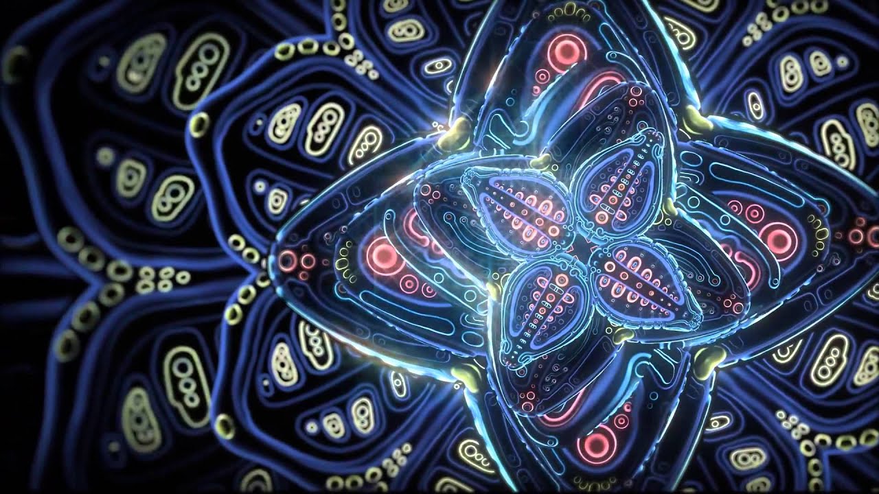 Cosmic Flowers Unfolding
