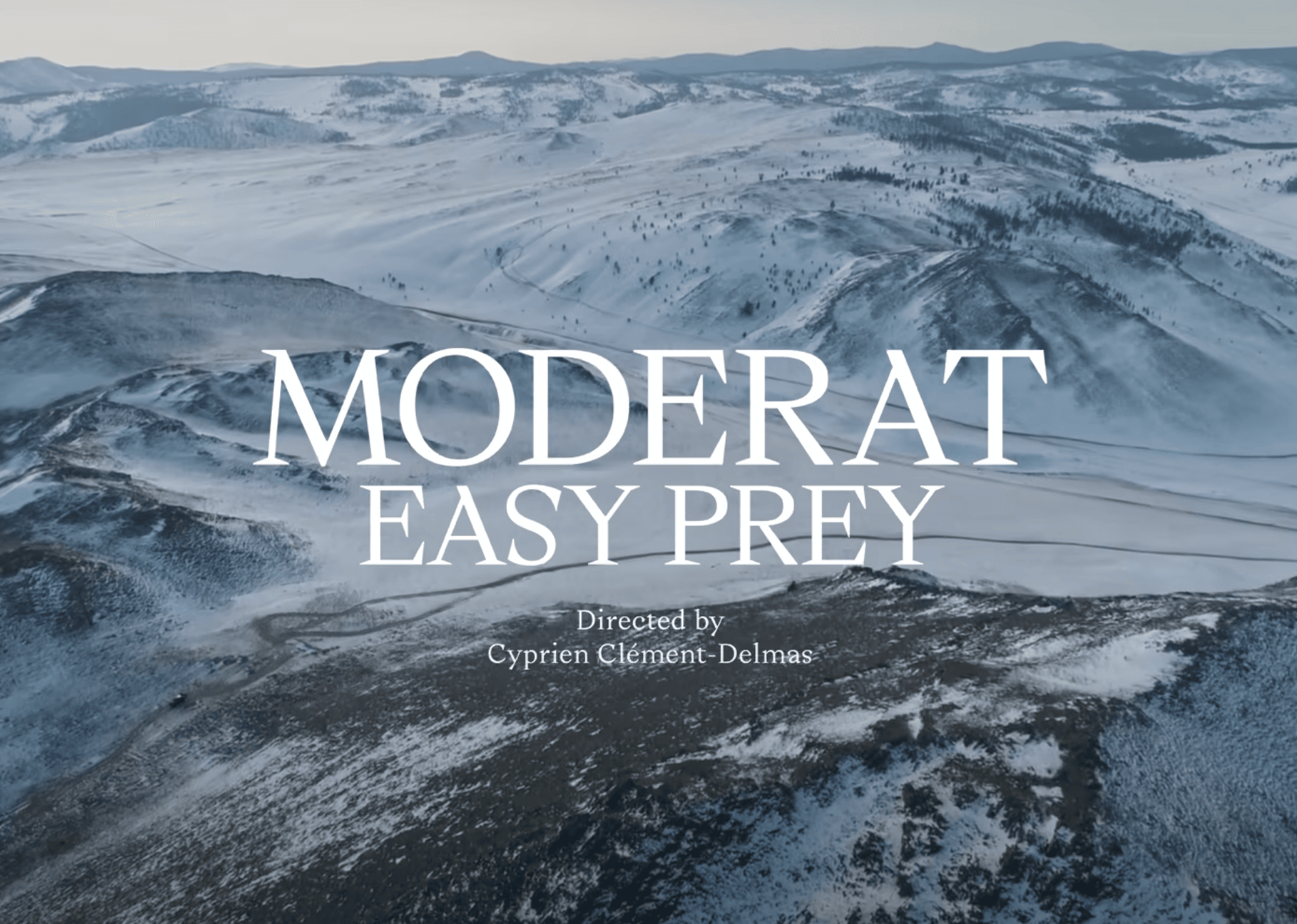 MODERAT - MORE D4TA - EASY PREY
