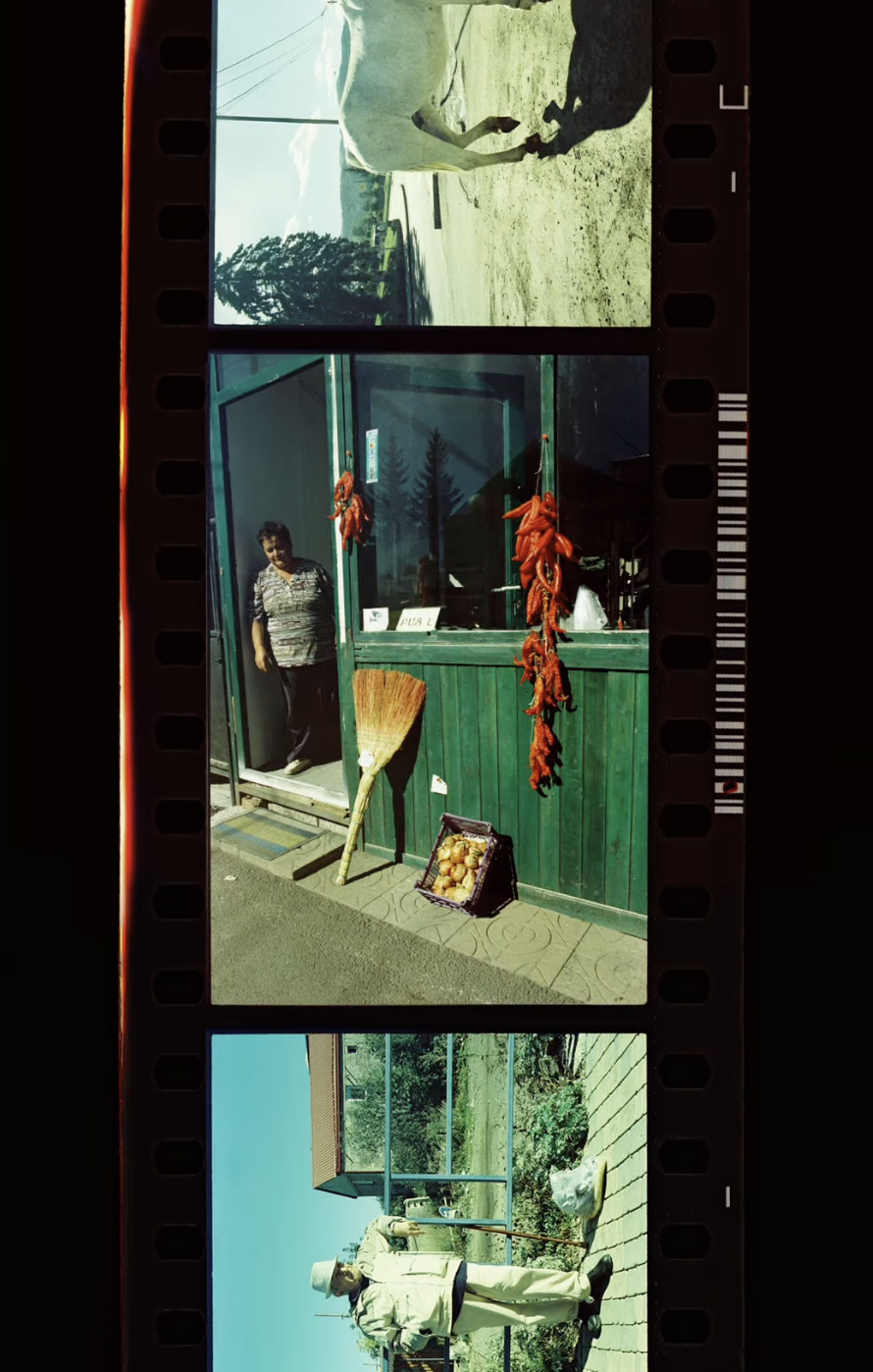 MAFF Loves Armenia: Victor Zatikyan