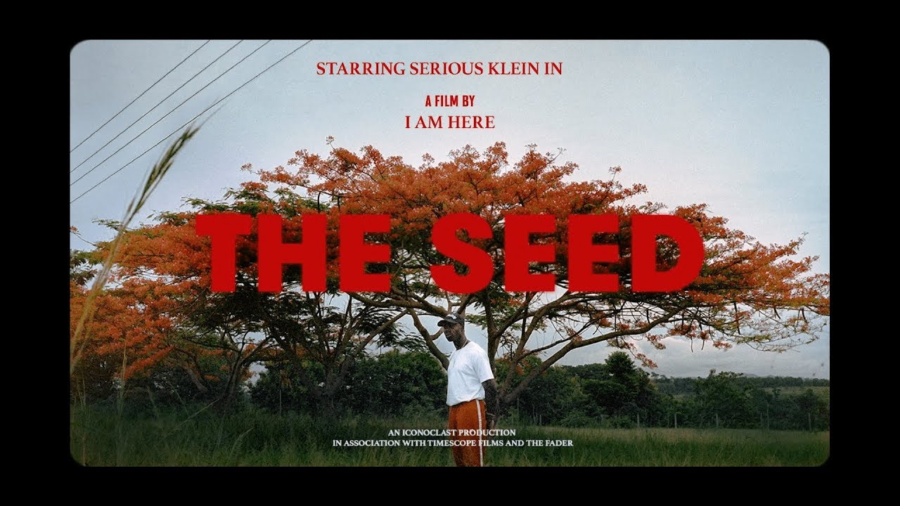 THE SEED