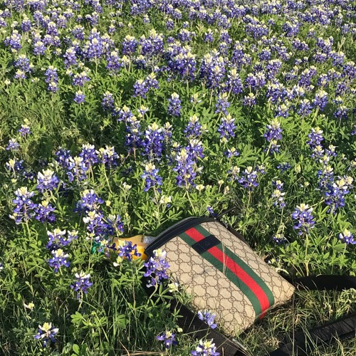 ✿ Lilbootycall ✿ - Oj In My Gucci Bag