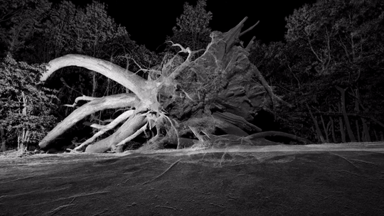Ibeyi - Oya