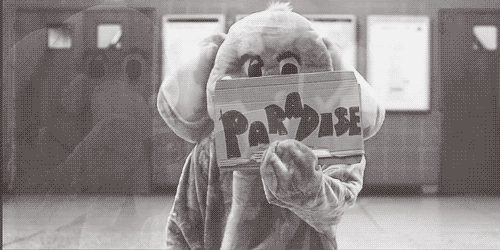 Coldplay - Paradise