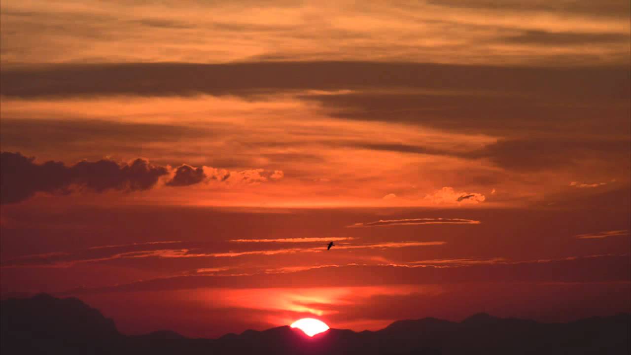 HAERTS - WINGS
