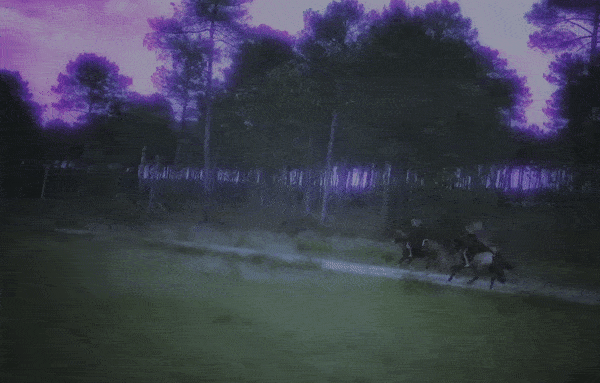 La Femme - Lâcher de Chevaux